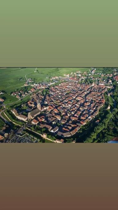 Gite Boniface Pour 2 Pers Bergheim Eksteriør bilde