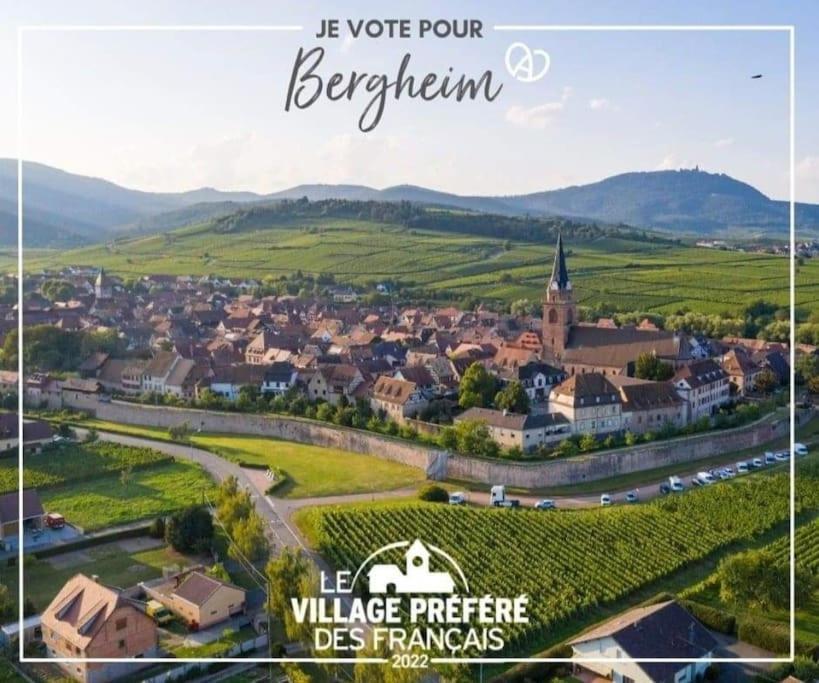 Gite Boniface Pour 2 Pers Bergheim Eksteriør bilde